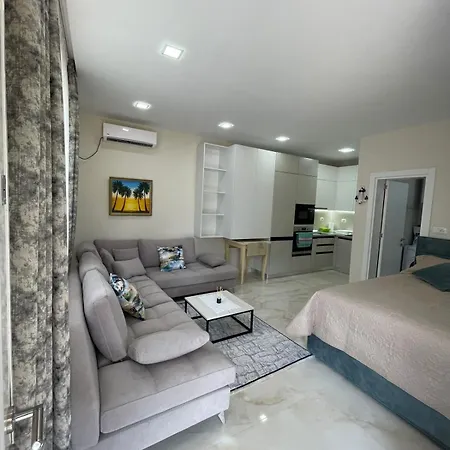 Leos House 펜션 *